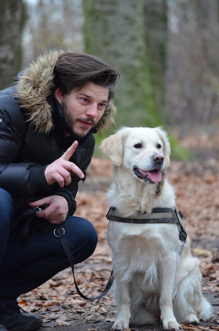 How to Choose the Right Pet Jacket